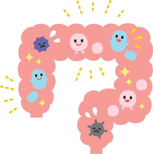 What Are Probiotics?