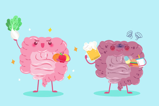 Feeling Bloated Today? The Science Behind B. Lactis, The Multipurpose Probiotic