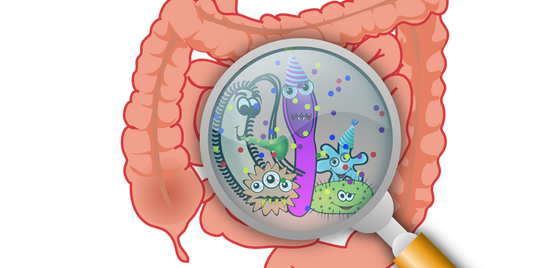 Can your gut health affect your weight?