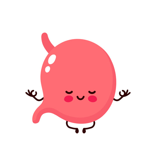 The Mood Boosting Probiotic, The Science Behind L. brevis