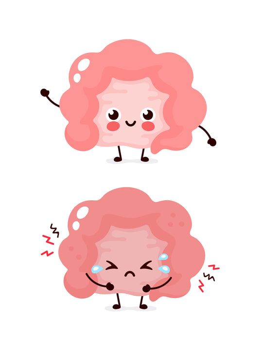 The Anti-Bloating Probiotic, The Science Behind B. infantis