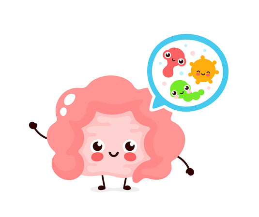 Why probiotics must be living in order to be effective