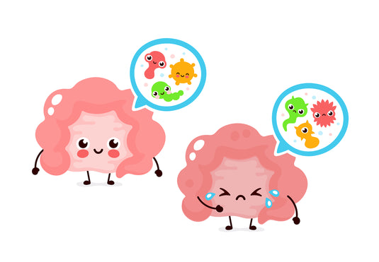 The Anti-Aging Probiotic, The Science Behind L. bulgaricus