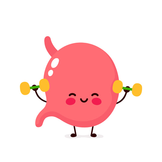 The Digestive Support Probiotic, The Science Behind L. casei