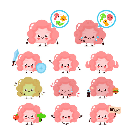 The Universal Probiotic, The Science Behind L. reuteri