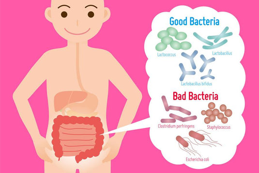 Dr. Robins' 7 Tips on Choosing the Best Probiotic For A Happier Gut