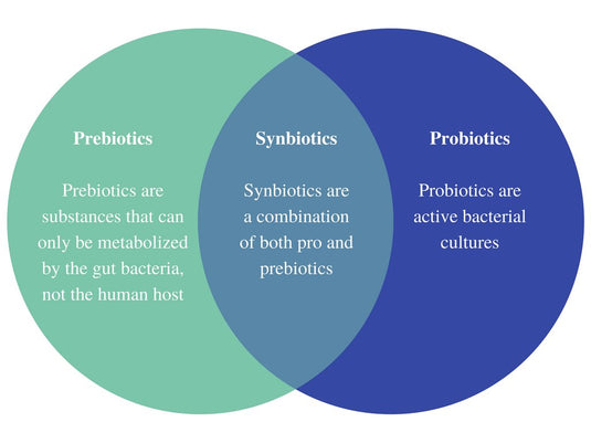 Why synbiotics are important?