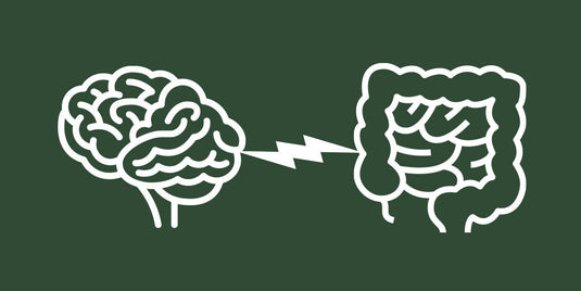 Understanding the gut-brain connection