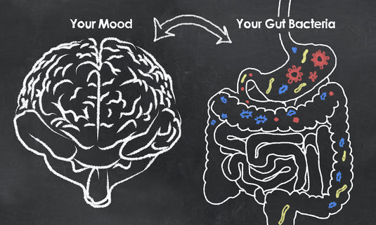 Can a healthy gut help manage your anxiety?