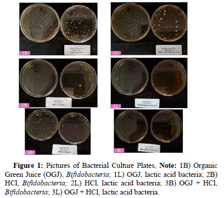 Figure 1 from the published study: six laboratory culture plates photographed in pairs, labelled by condition.